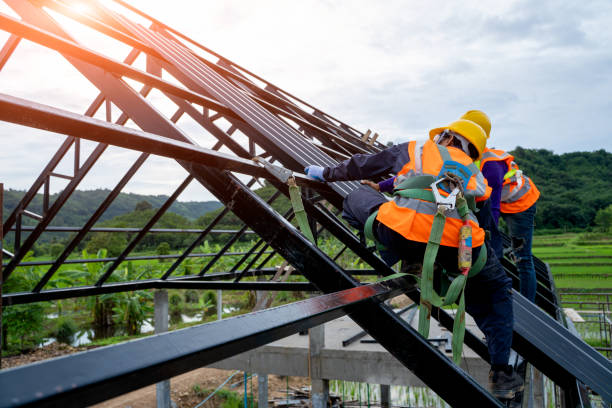 Best Roof Gutter Cleaning  in Pearson, GA