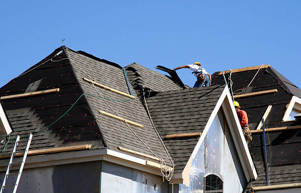 Best Roof Gutter Cleaning  in Pearson, GA