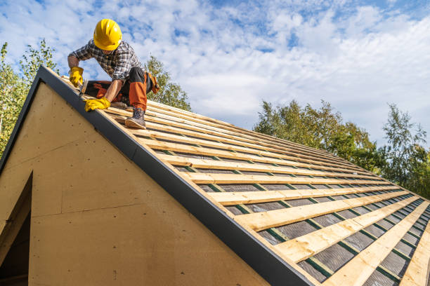 Best Roof Gutter Cleaning  in Pearson, GA